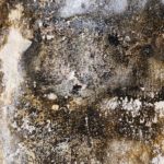 water damage